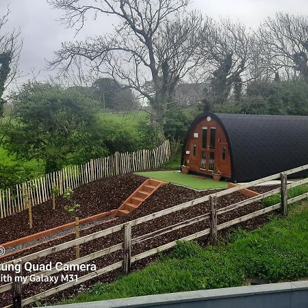 Ivy Hill Glamping Pod Apartman Ennis Kültér fotó