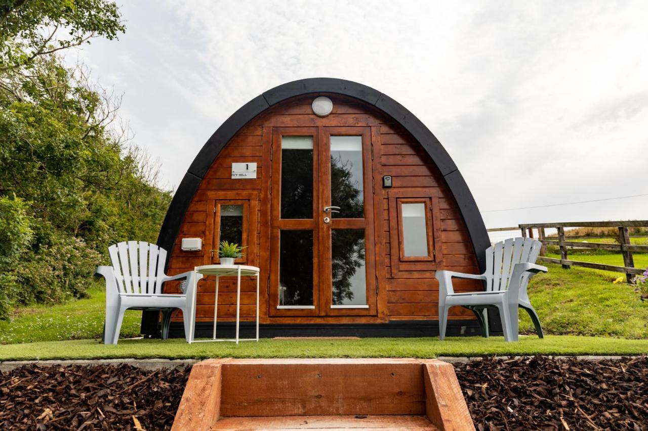 Ivy Hill Glamping Pod Apartman Ennis Kültér fotó