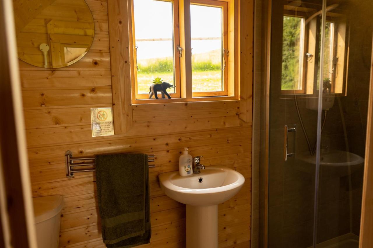 Ivy Hill Glamping Pod Apartman Ennis Kültér fotó